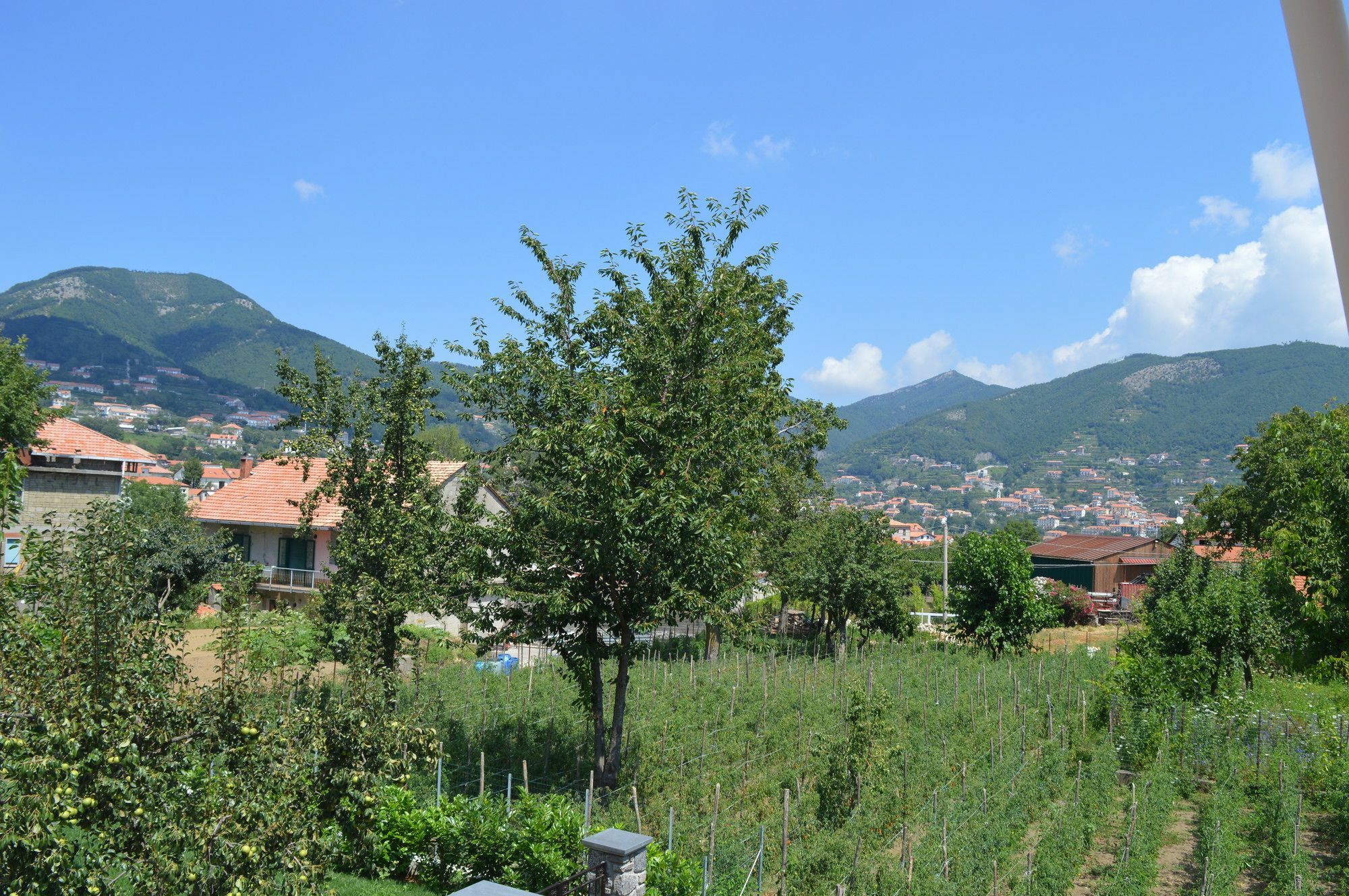 La Casa Dei Fiori - Ospitalita Diffusa Agerola Kültér fotó